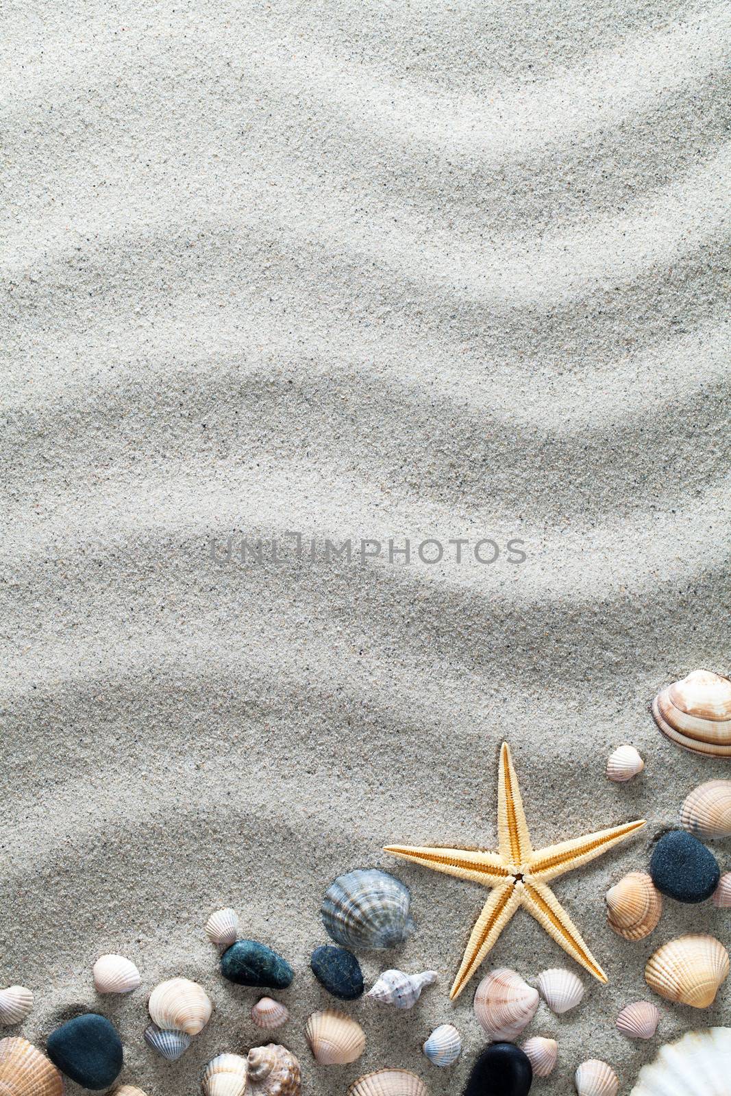 Sand background with shells and starfish. Summertime concept. Top view