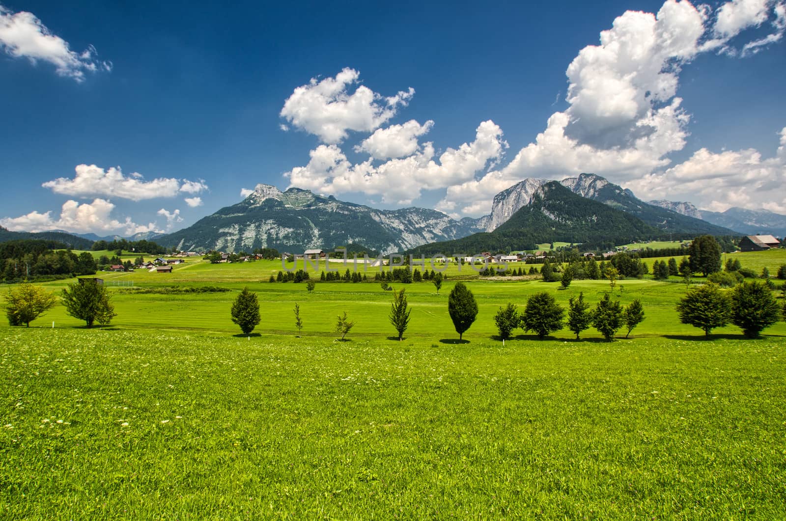 The houses in the meadow panorama by zych