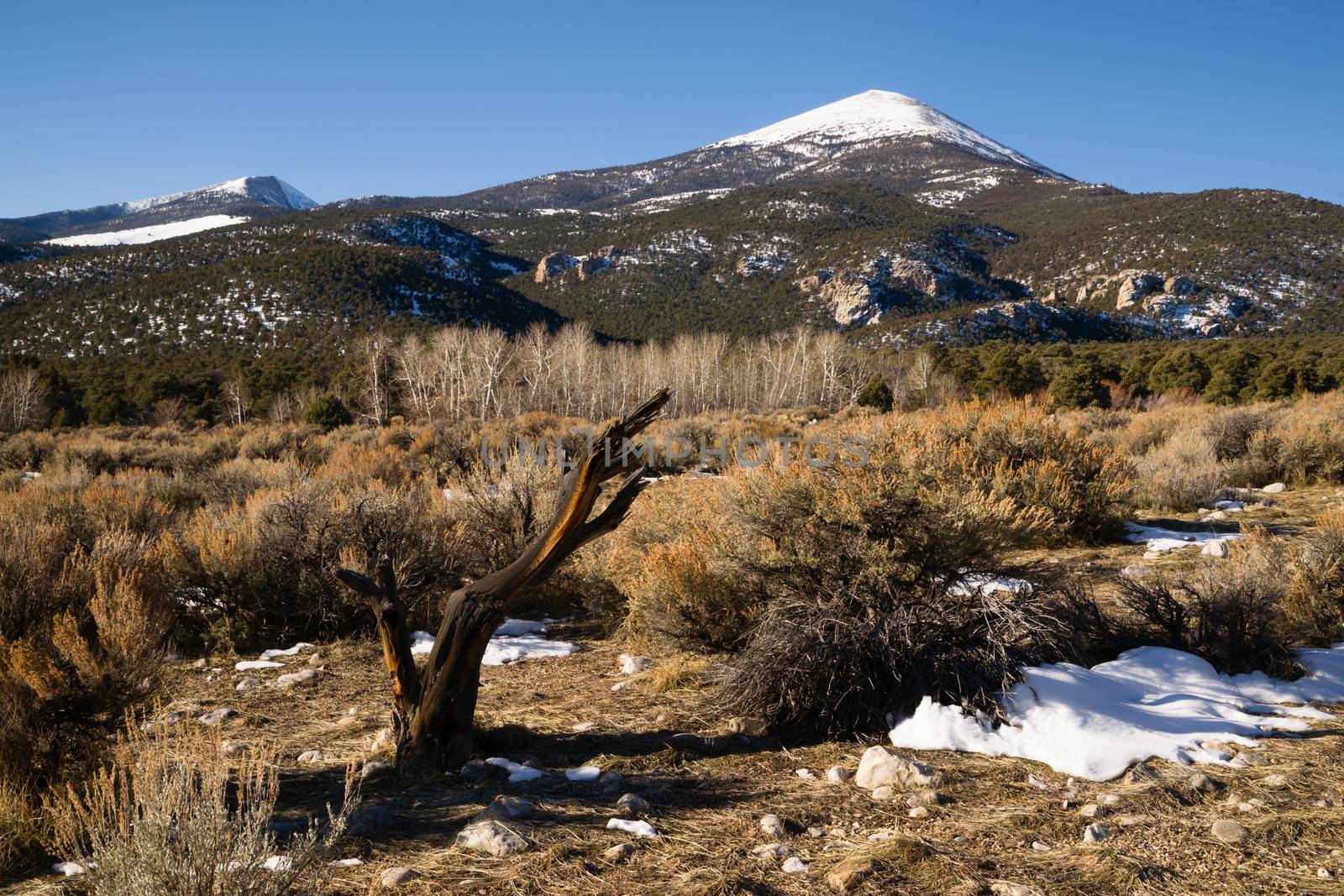 High Mountain Peak Great Basin Region Nevada Landscape by ChrisBoswell