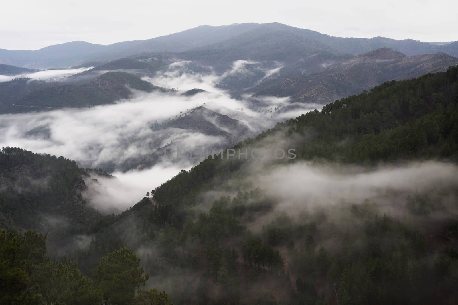 Cevennes mountain range in the south east of France in the department of Lozeres.