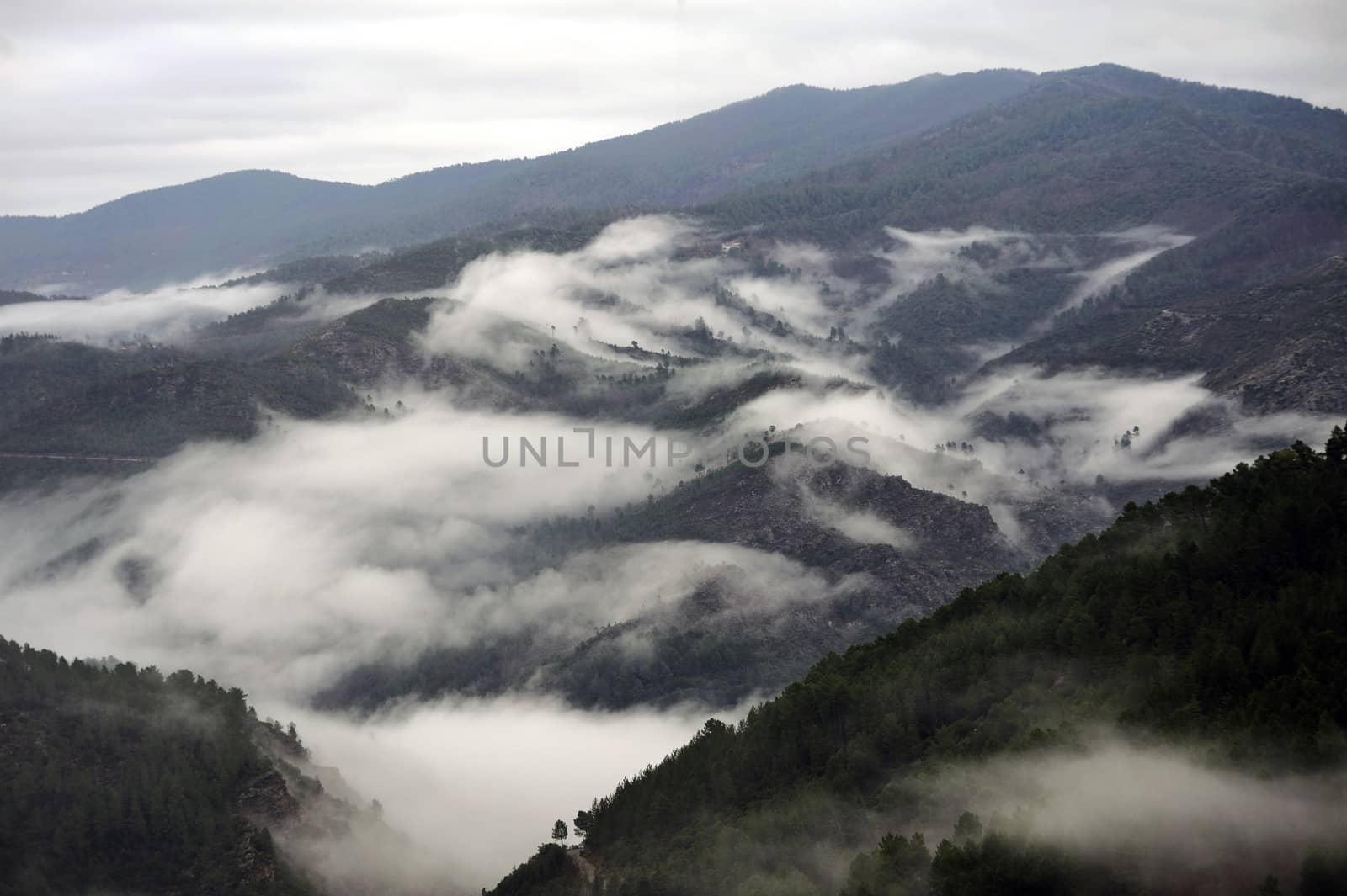 Cevennes mountain range in the south east of France in the department of Lozeres.