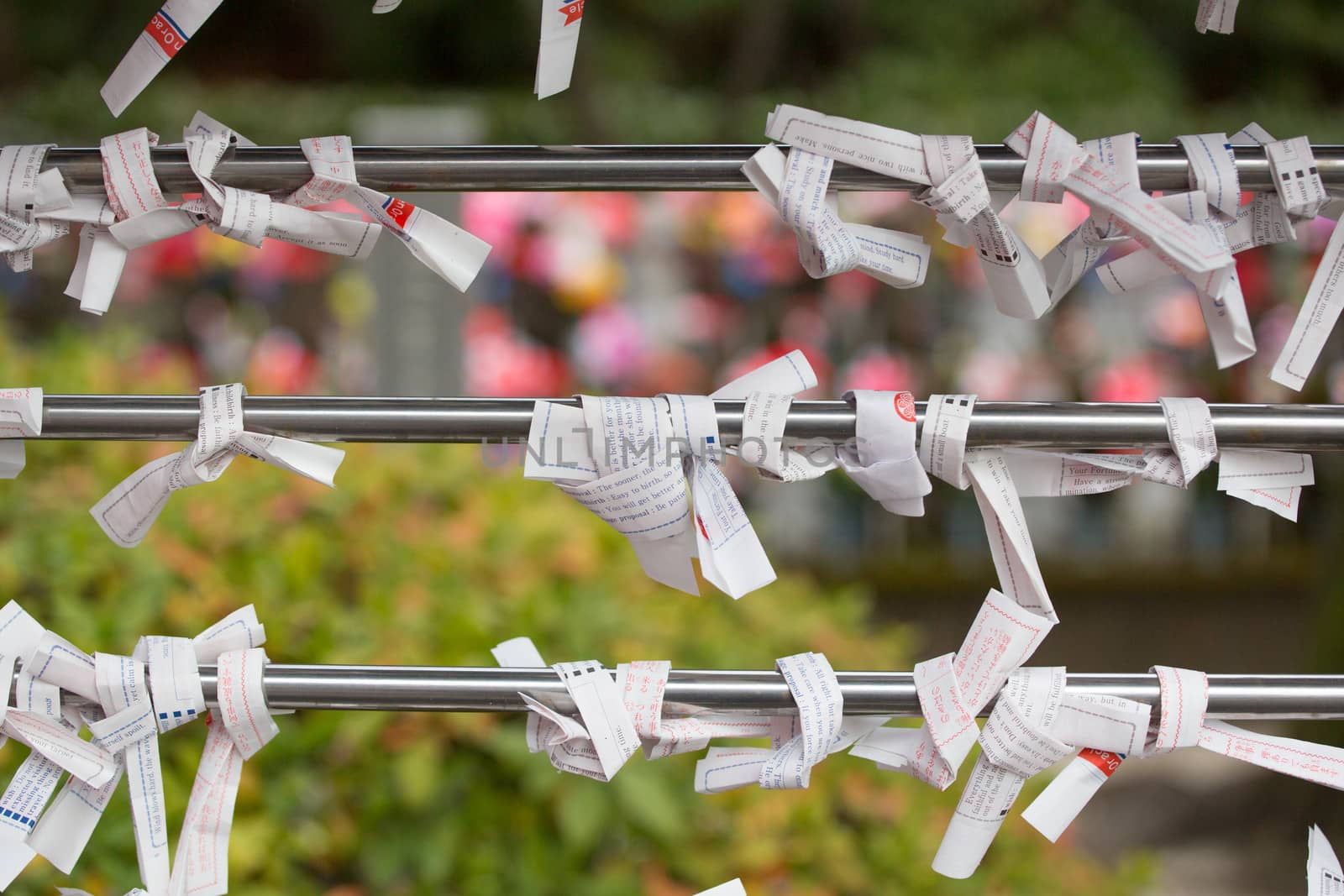 Dozens of omikuji, or fortunes, are wrapped on string at a Shinto temple in Takayama, Japan.