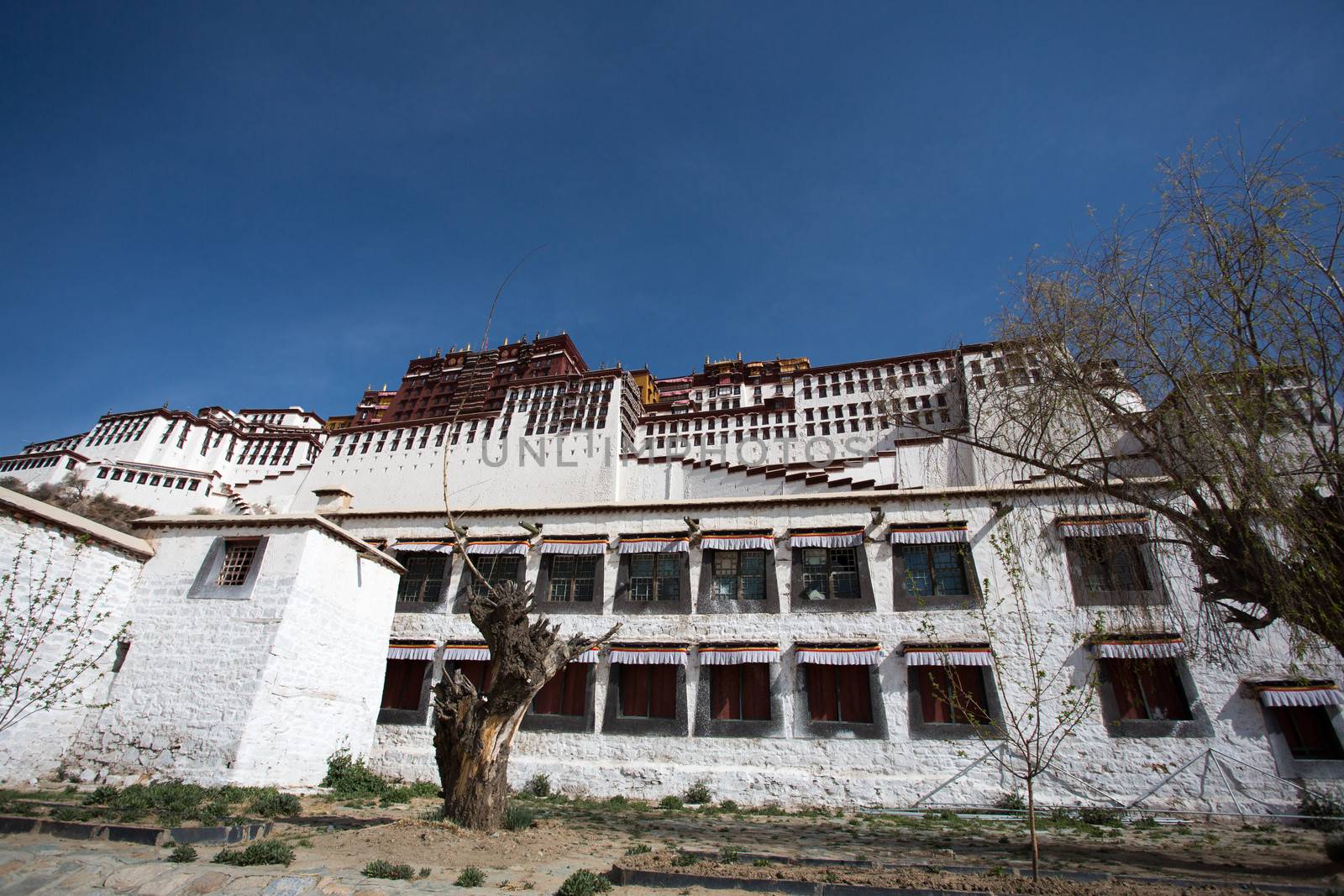 Potala Palace, Tibet by watchtheworld