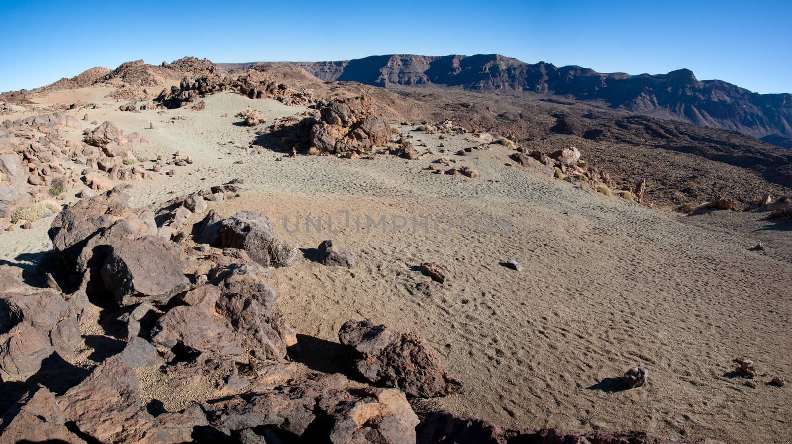 National park, volcanic based ground. Tenerife