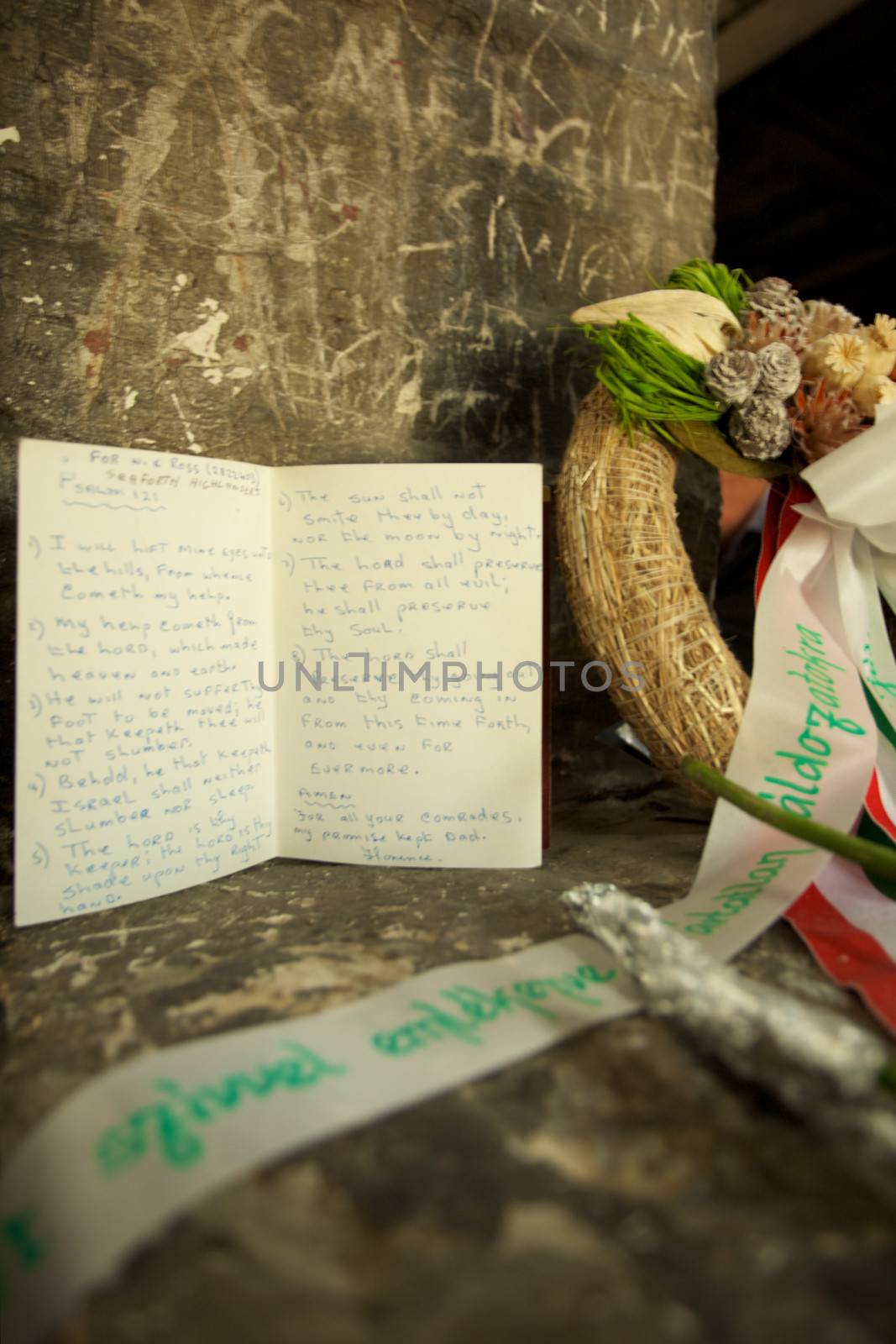 Inside wood houses in Auschwitz Birkenau concentration camp with flowers