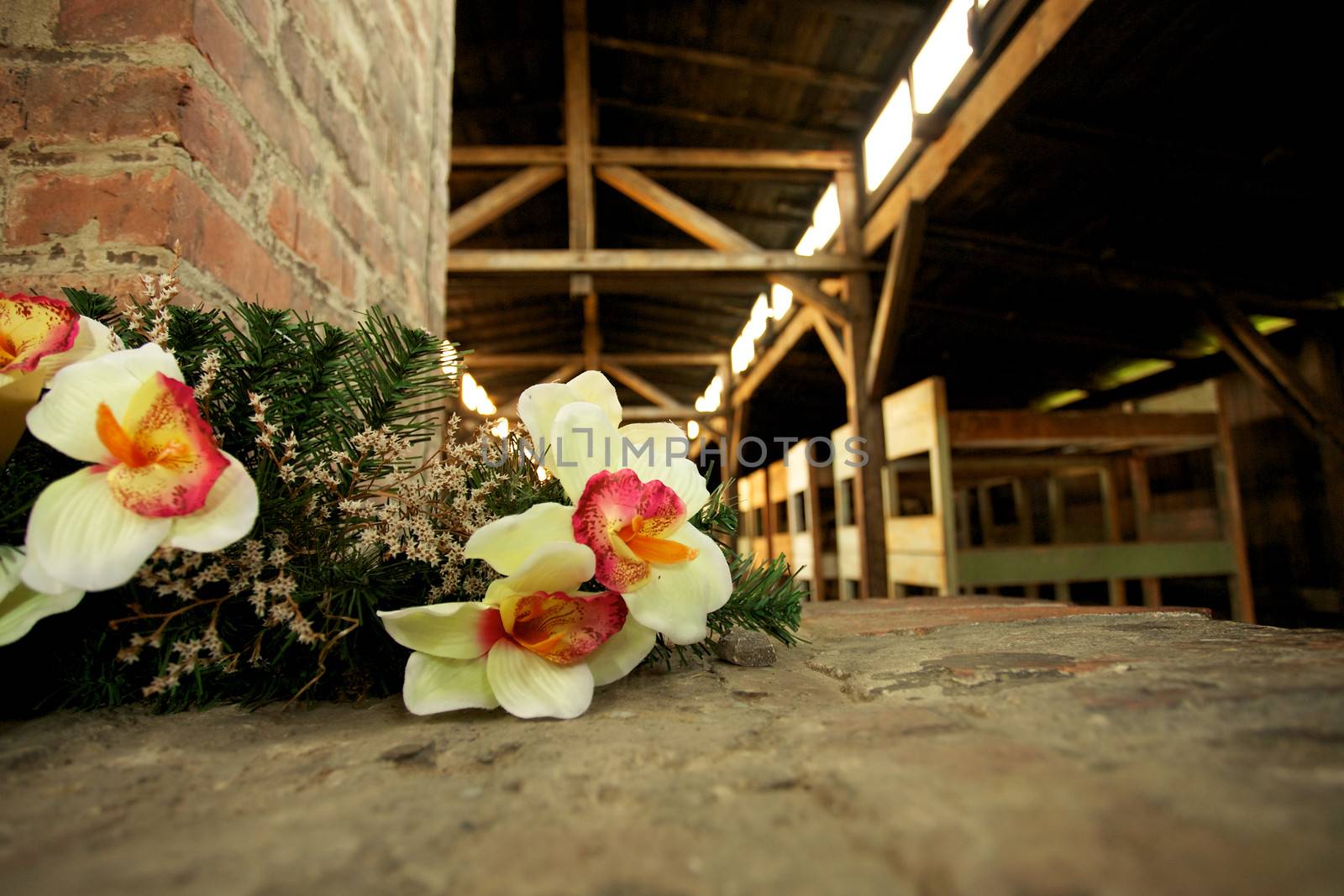 Auschwitz-Birkenau Concentration Camp by watchtheworld