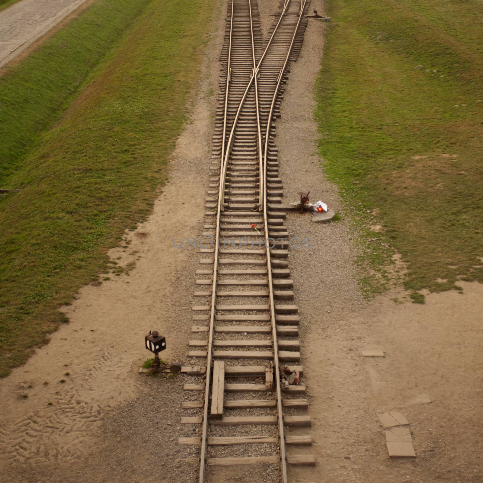Train track arriving in Auschwitz Birkenau concentration camp