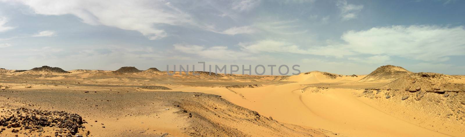 Panoramic view. Sandy and deserted landscape in the Libyan desert.