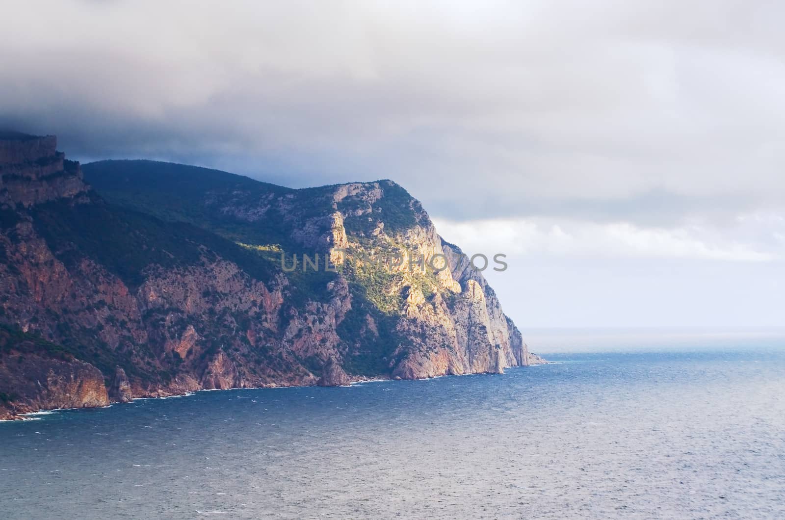 Coastline with pine trees ("Inzhir" reserve, Crimea, Ukraine) 