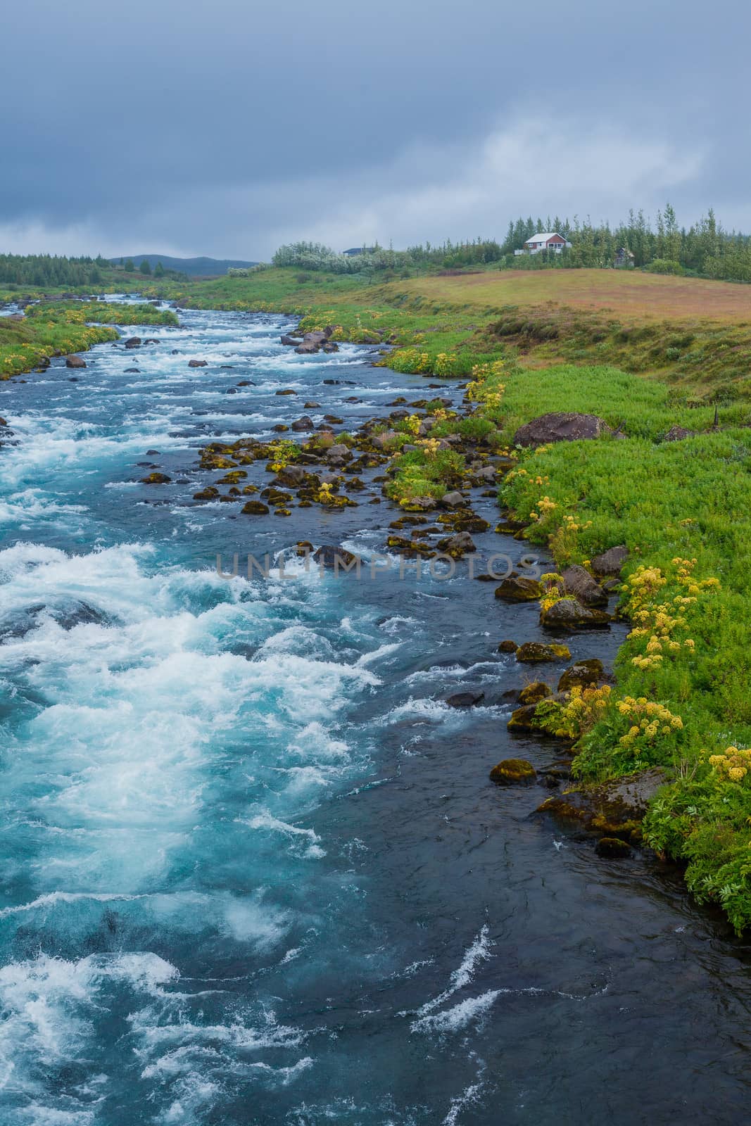Summer Iceland landscape with big mountain river. Vertical view