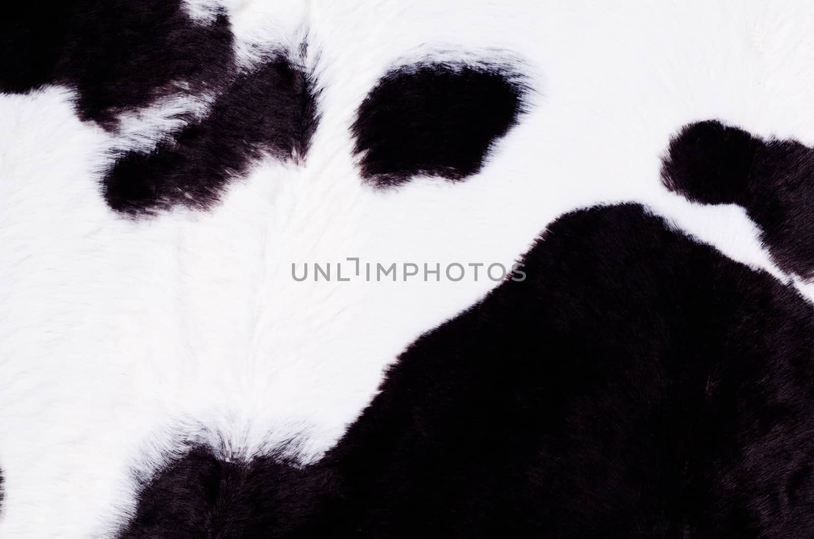 Black and white cow skin by hemeroskopion