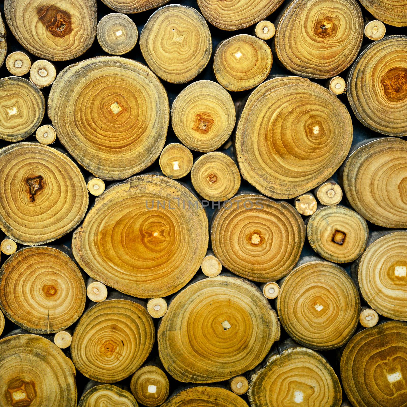 Woodpile