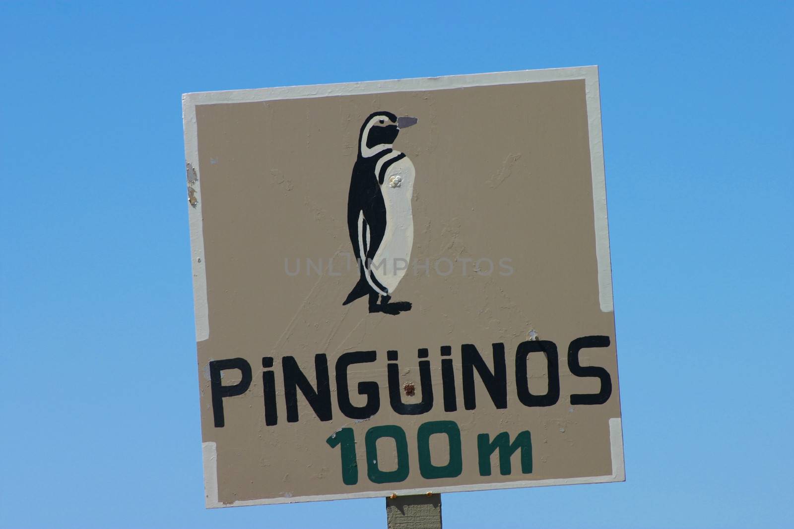 Wildlife warning in Argentina. Caution, penguins crossing in Patagonia, The Valdes Peninsula.