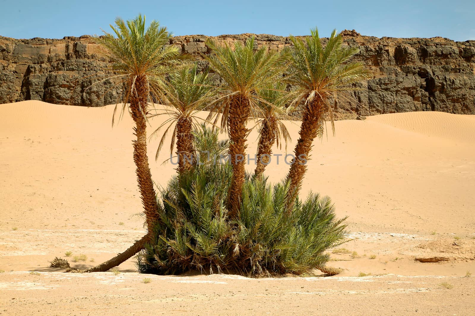 Typical moroccan lanscape in the Atlas Mountains, north of Africa