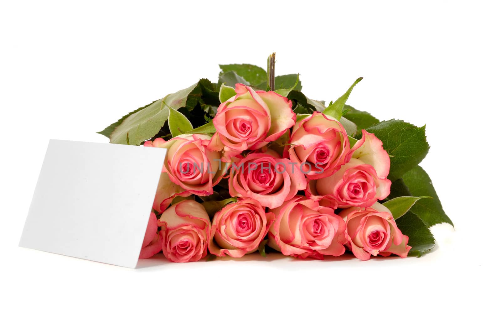 Roses with gift card by cfoto