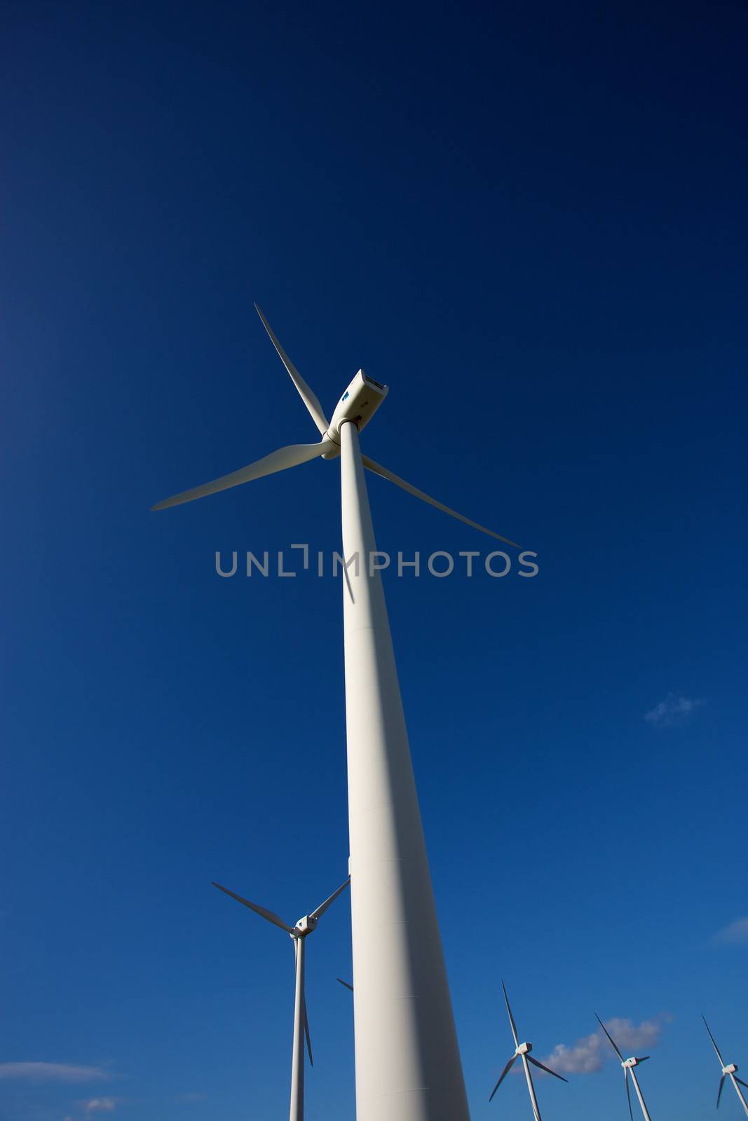 Tarifa wind mills with blue sky