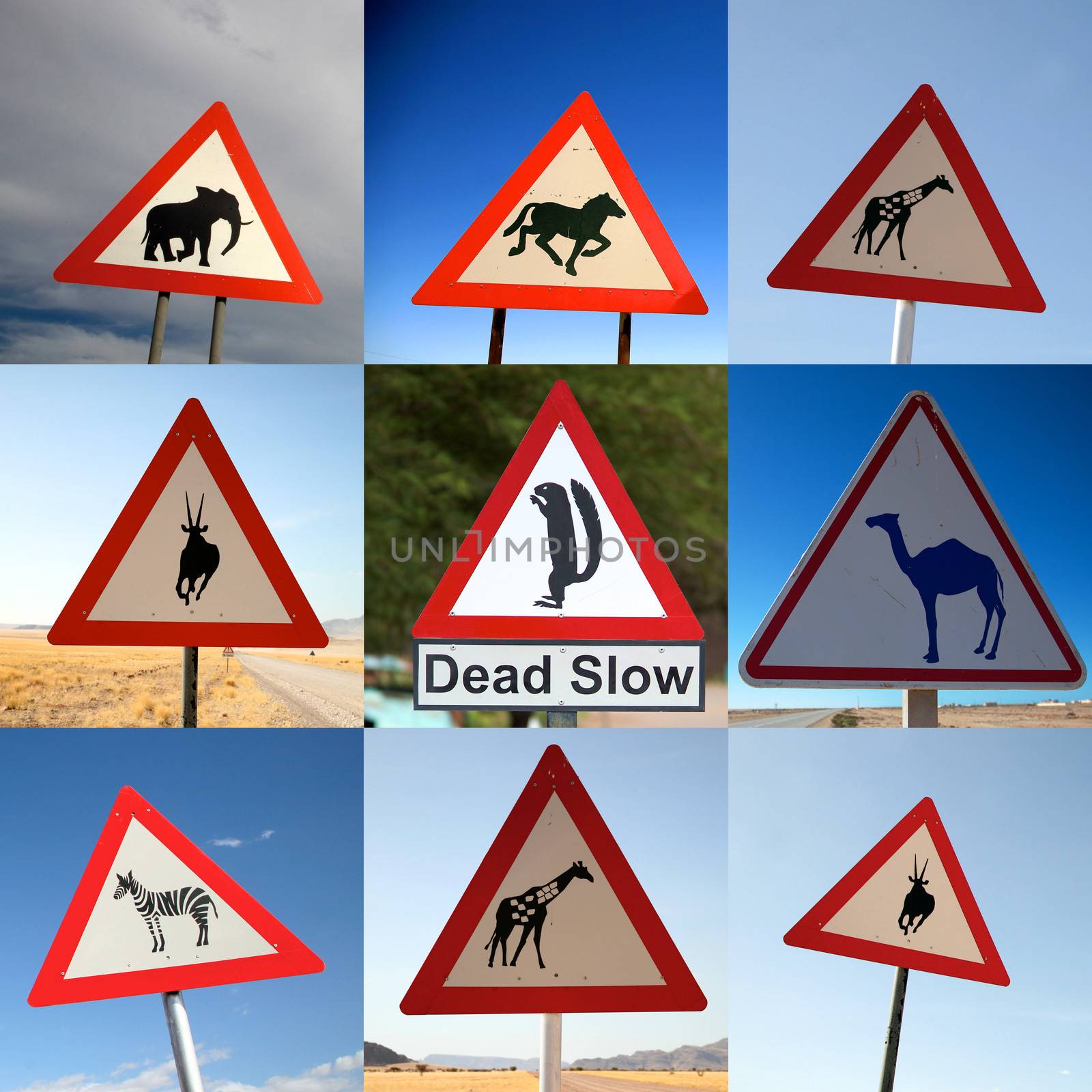 Animal Crossing Signs by watchtheworld