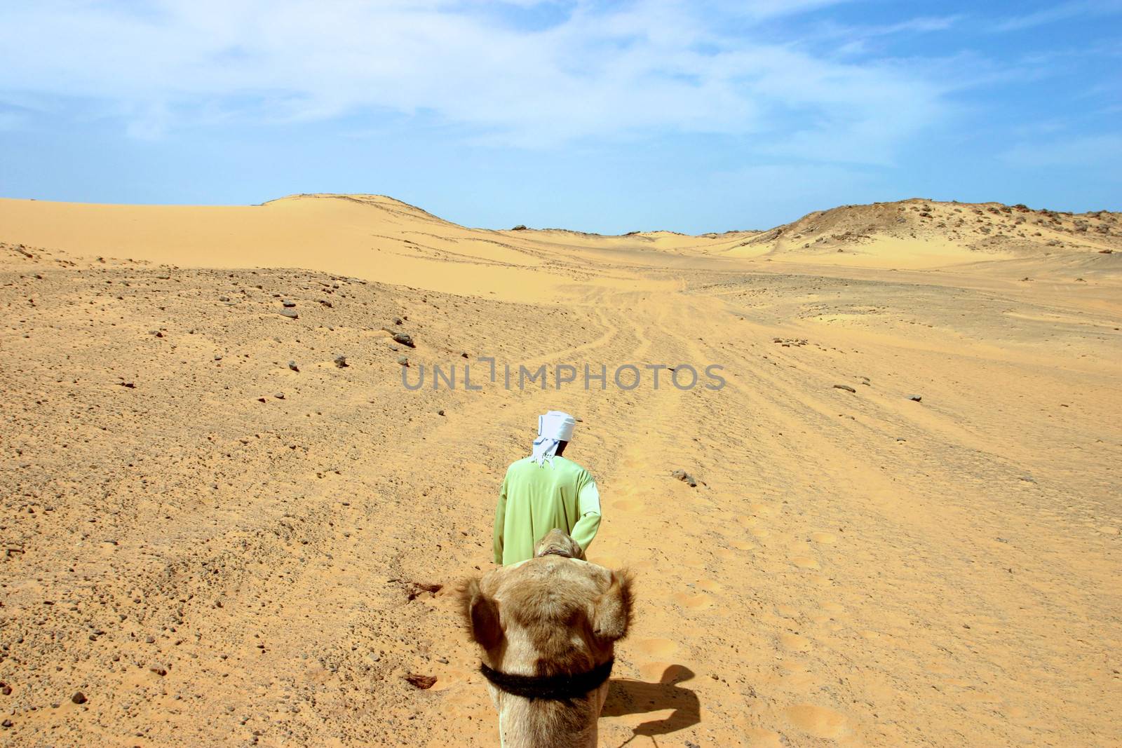 Bedouin guide with a camel in the sandy and deserted dunes in the Libyan desert.