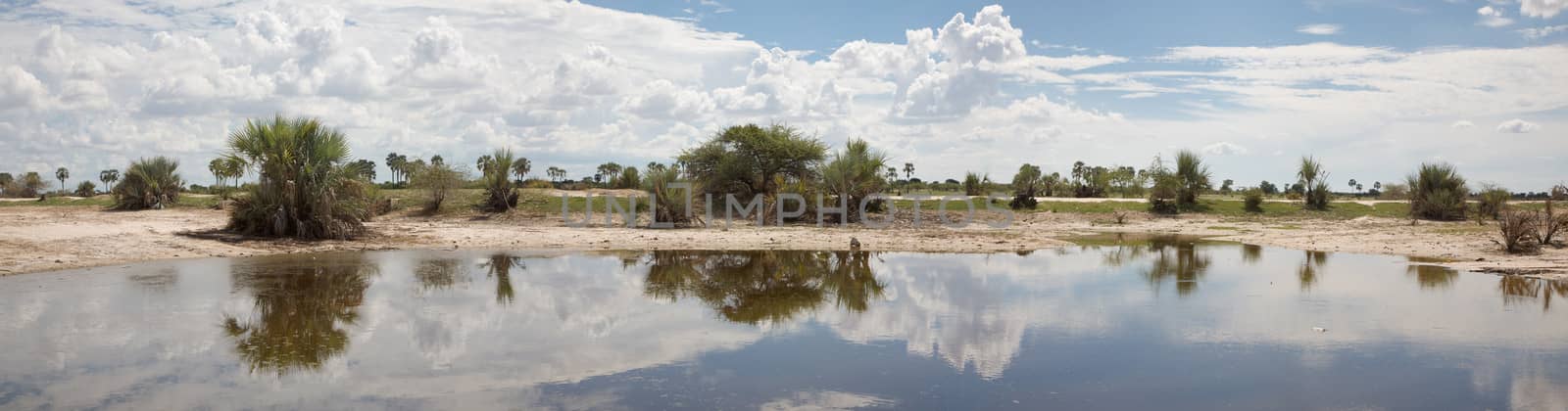 African landscape with trees reflected in water by watchtheworld