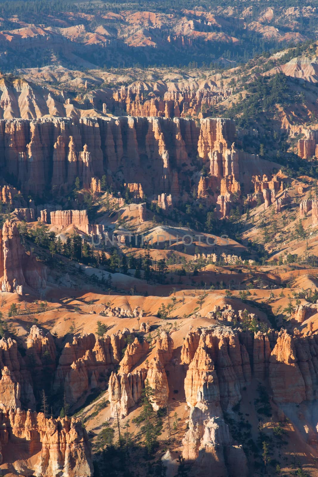 View to one of the amphitheatres of Bryce Canyon late afternoon with sunset