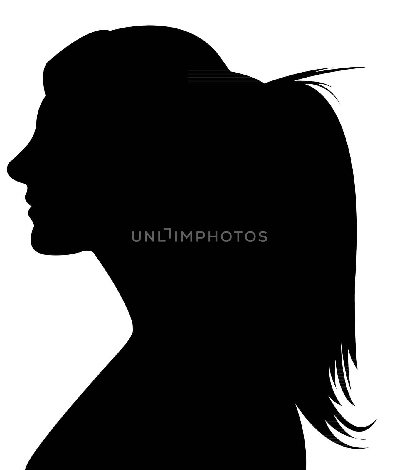 lady head silhouette vector