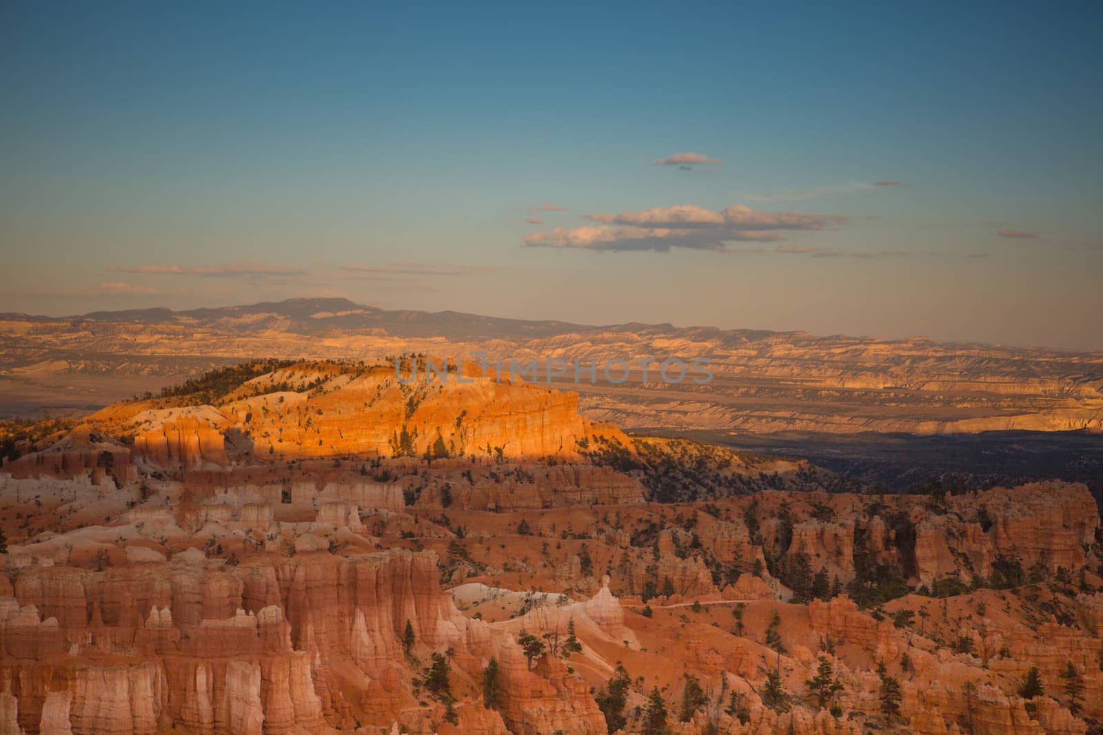 Panoramic view to one of the amphitheatres of Bryce Canyon late afternoon