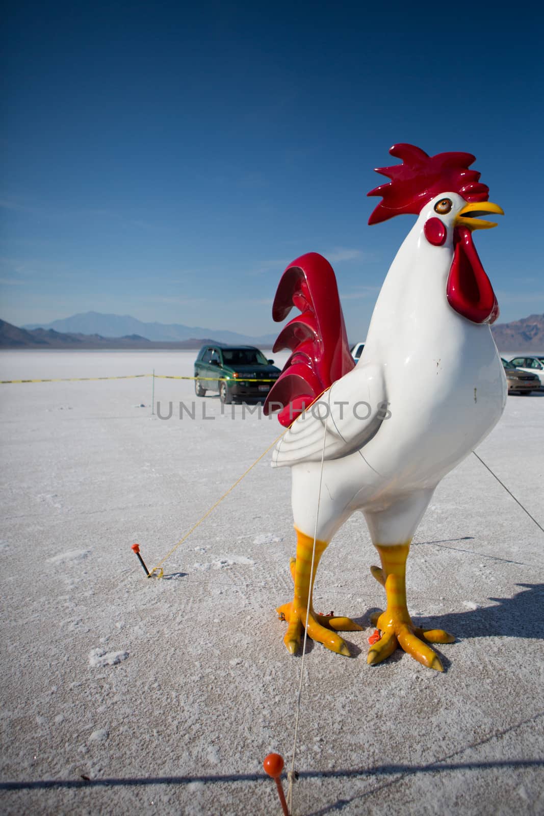 Fake rooster at the Bonneville Salt Flats