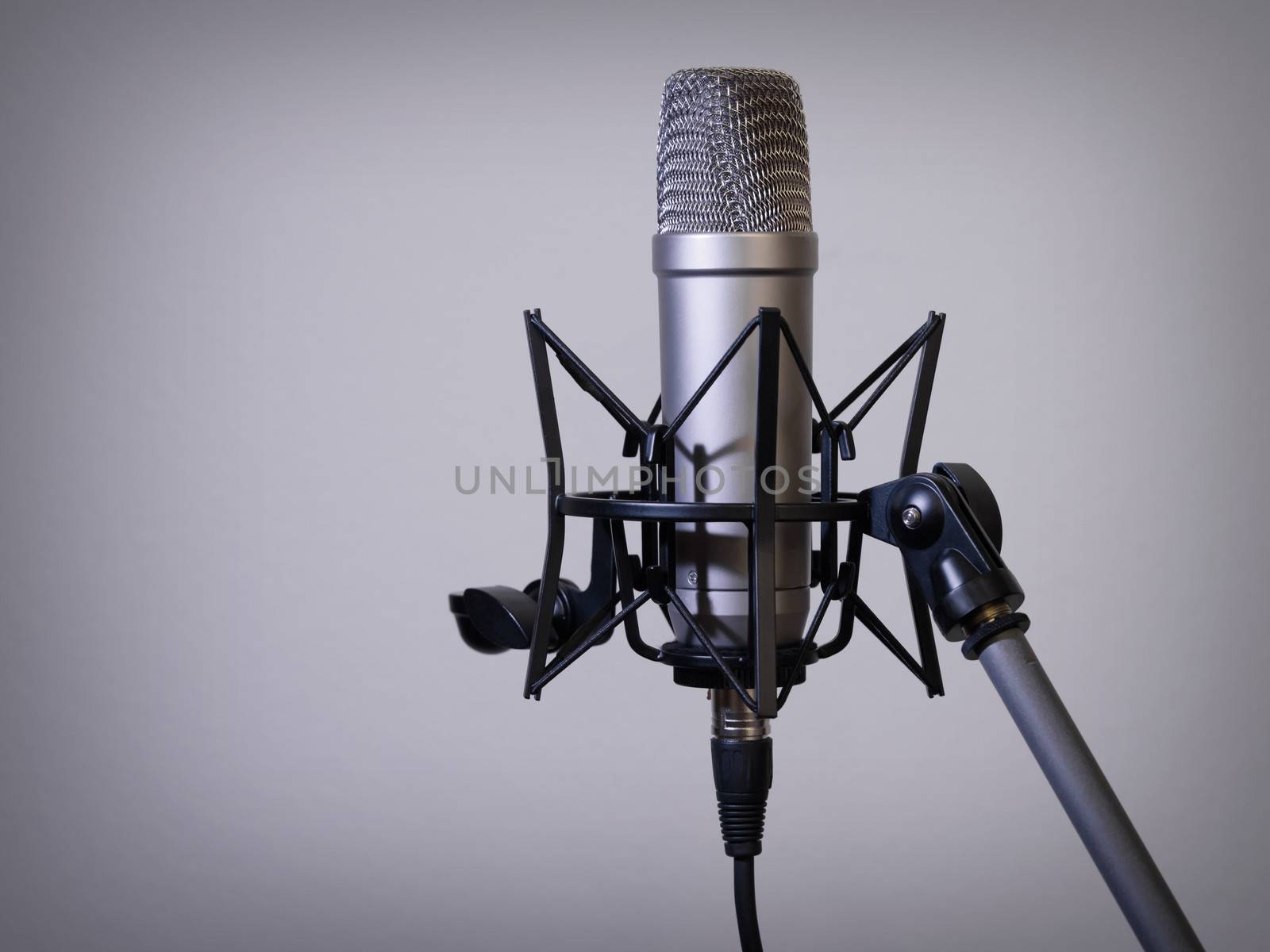 Photo of a large diaphragm studio microphone on a mic stand.
