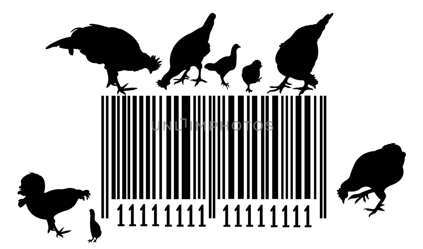 Bar code and chickens on it, vector illustration by Dr.G