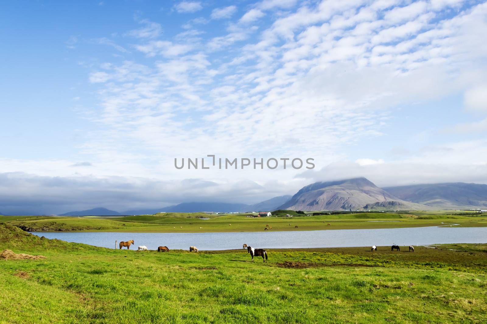 Beautiful lake against mountain background, Iceland, good summer weather