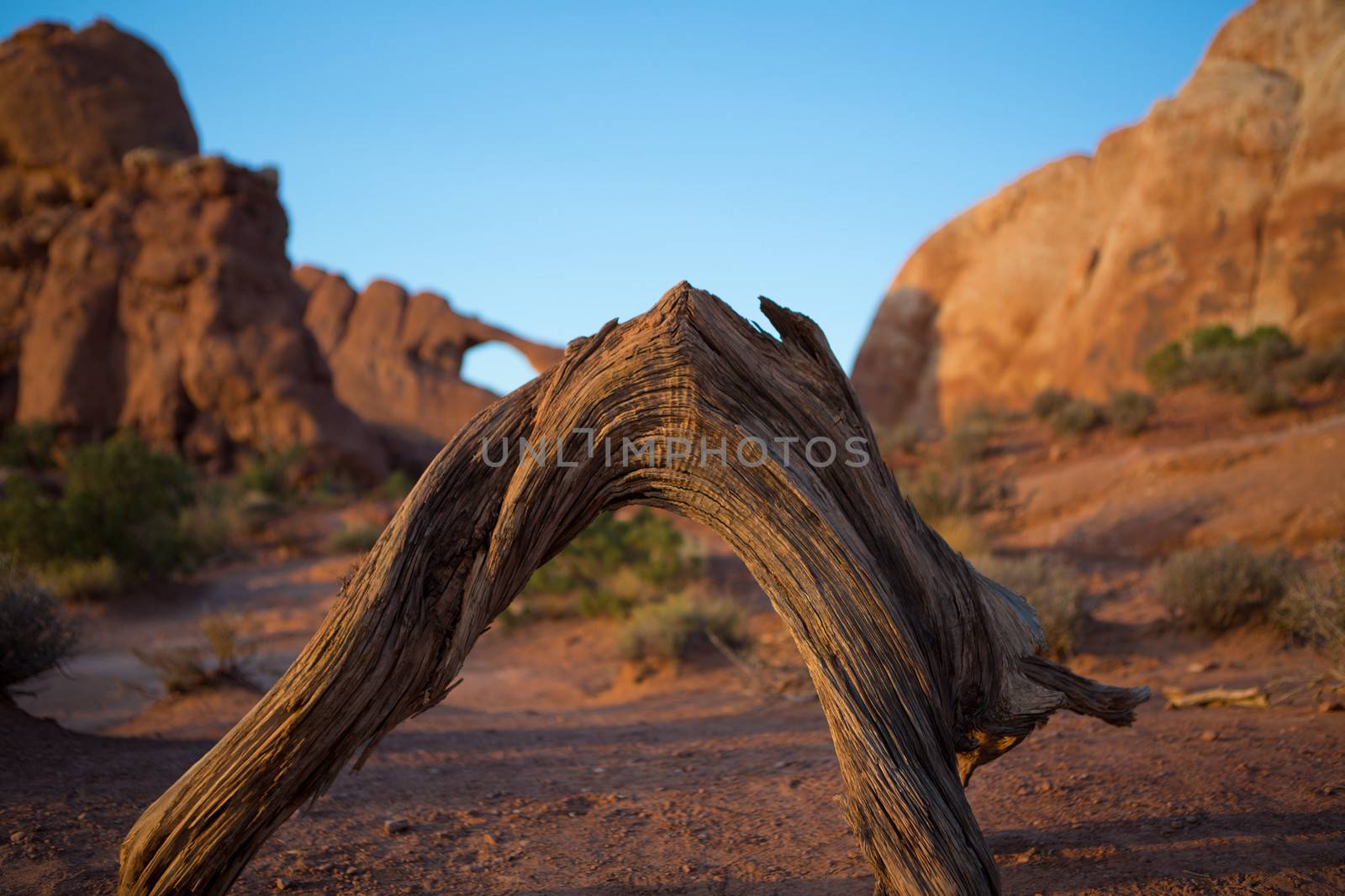 South Window Arch Rock Formation Arches National Park Moab Utah by watchtheworld