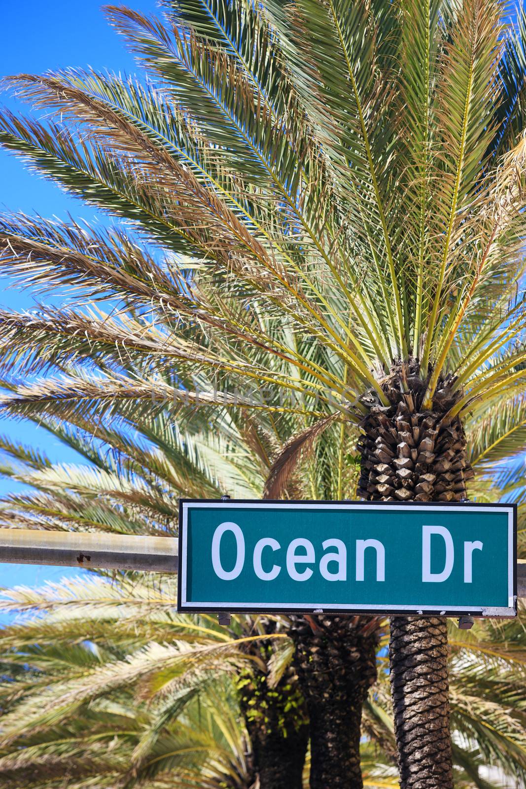 street sign of famous street Ocean Drive in Miami South