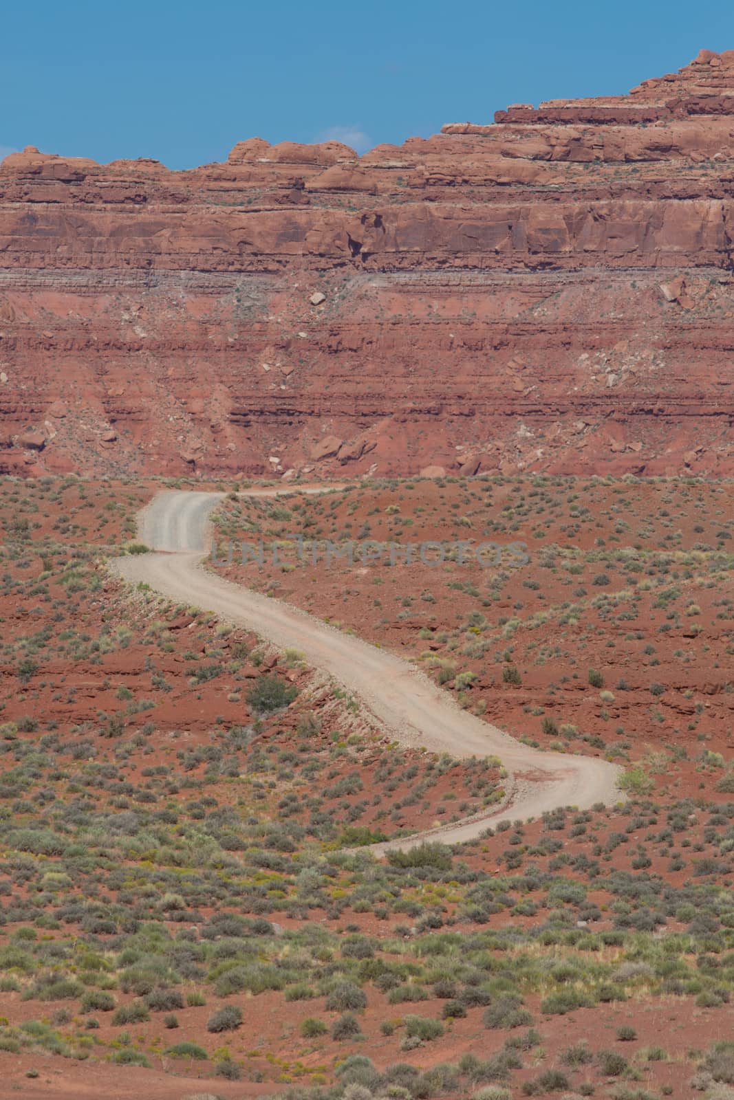 A trail winds through the desert landscape in Valley of the Gods.