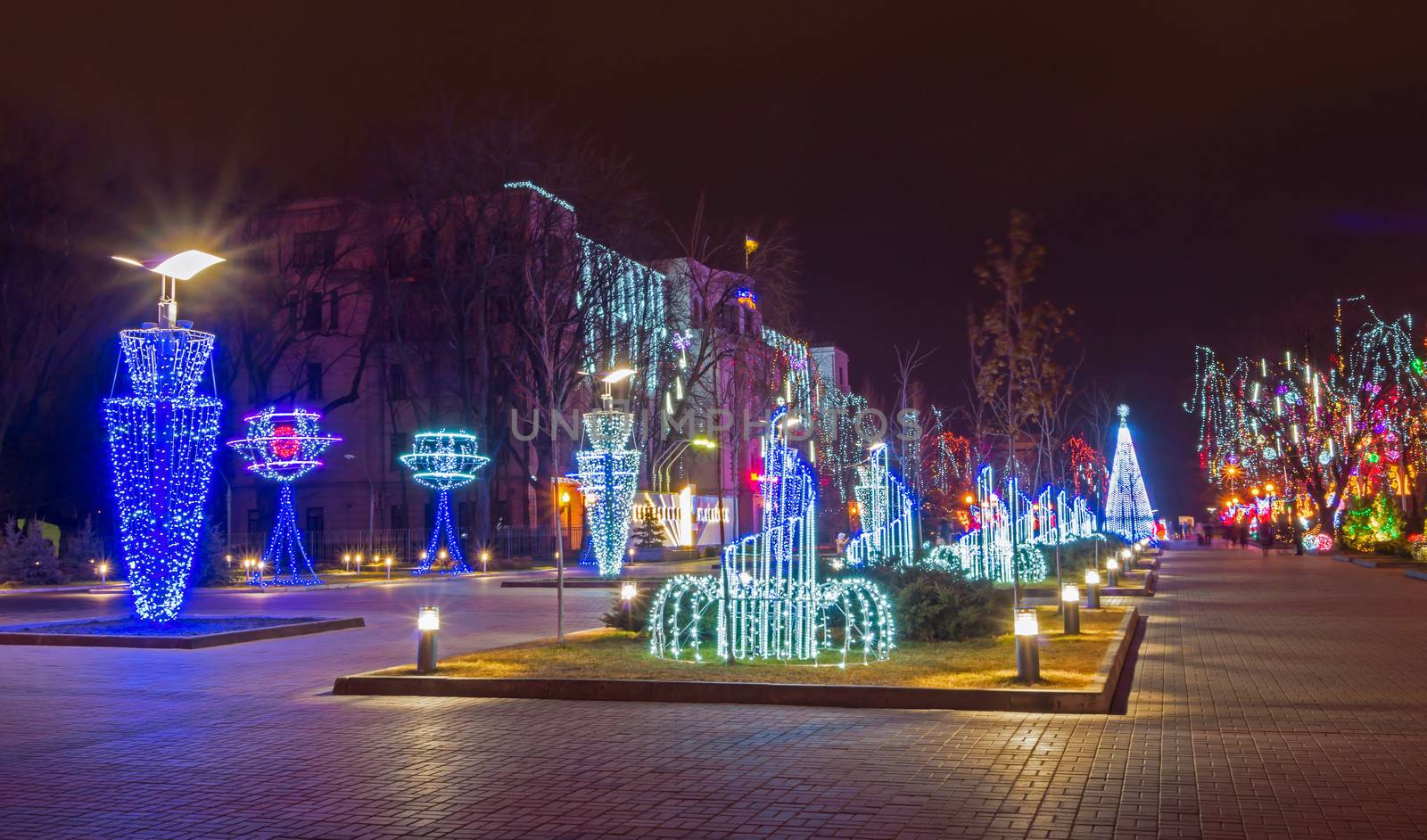 Christmas lighting at the park area on the night of the baptism in January 2014.