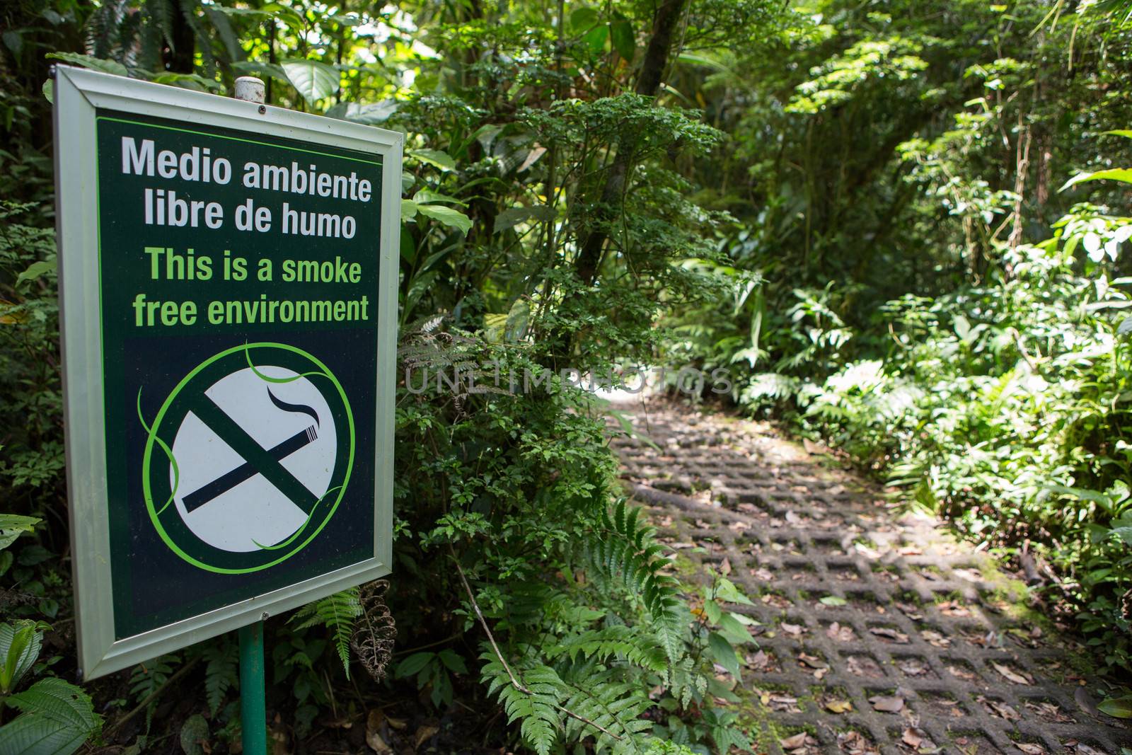 Smoke free environment sign in the forest, Monteverde, Costa Rica