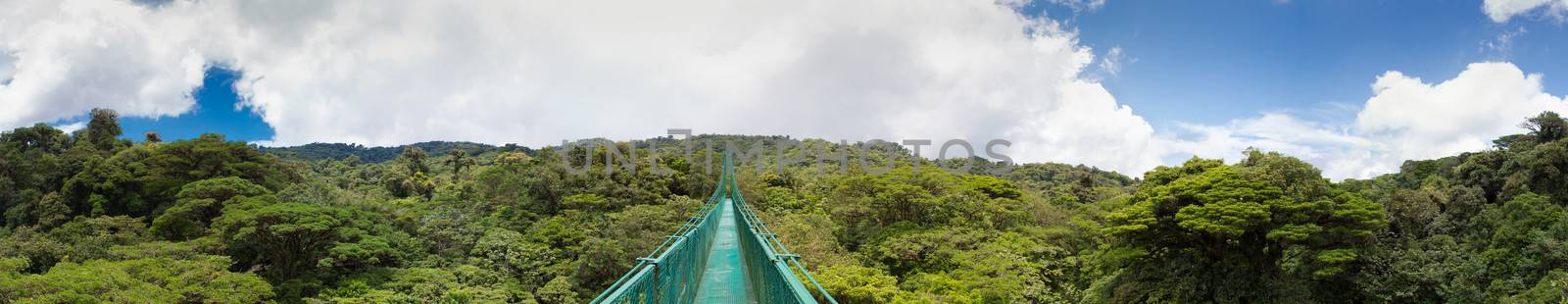 Panoramic view from Santa Elena Cloud Forest from a suspended bridge in Costa Rica