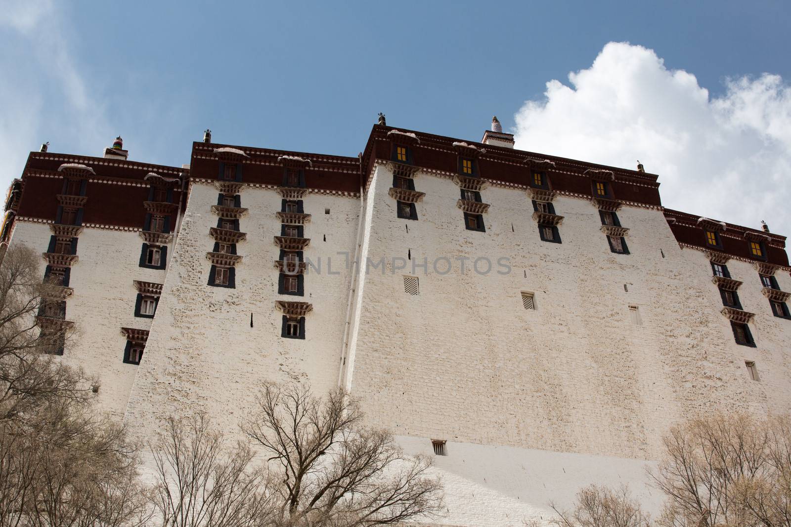 Back of the Potala Palace in Lhasa. Historic home of the Dalai Lama. A UNESCO World Heritage site. China 2013