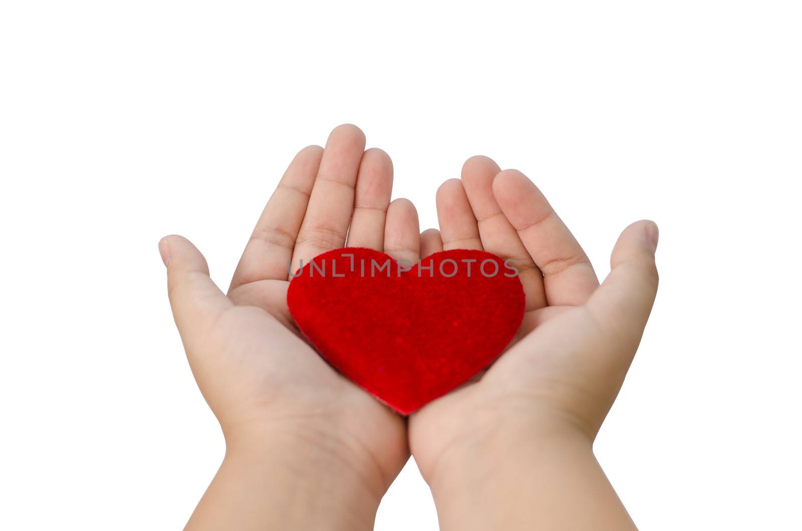 Red heart in the hands on white background , clipping path 