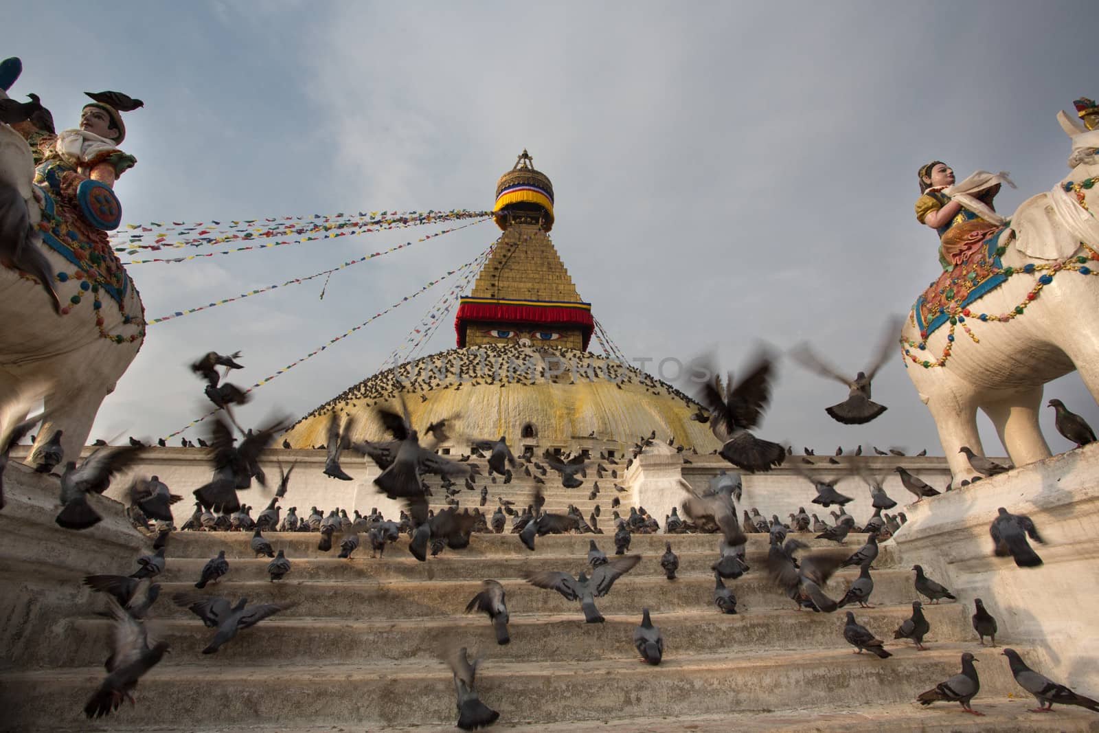 Crowding of pigeons flying over the great Bodhnath stupa in Kathmandu, Nepal.