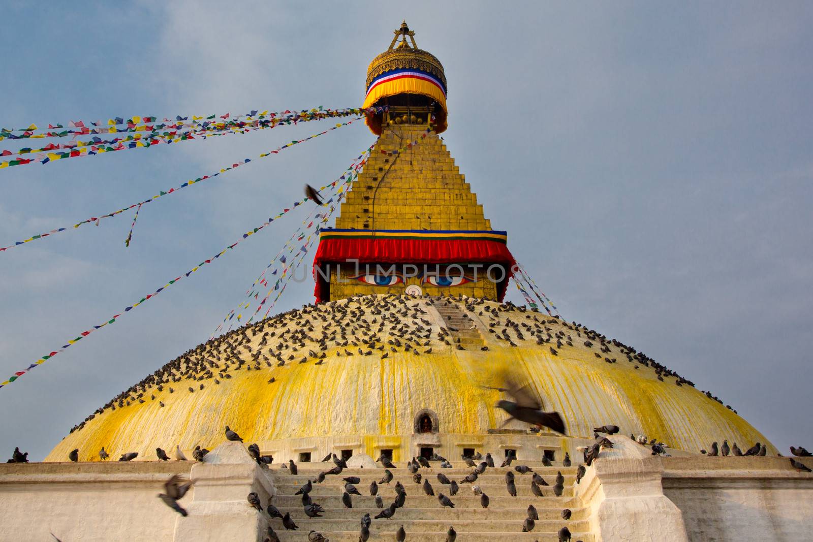 Boudhanath Stupa, one of the main landmark in Kathmandu surrounded by birds early in the morning, Nepal