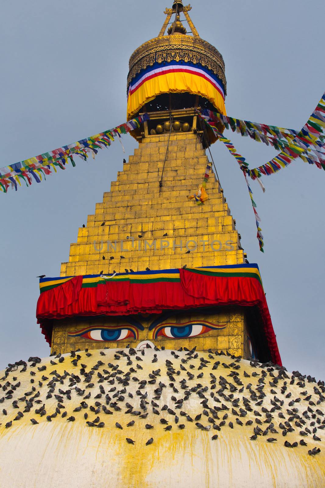 Boudhanath Stupa, one of the main landmark in Kathmandu surrounded by birds early in the morning, Nepal