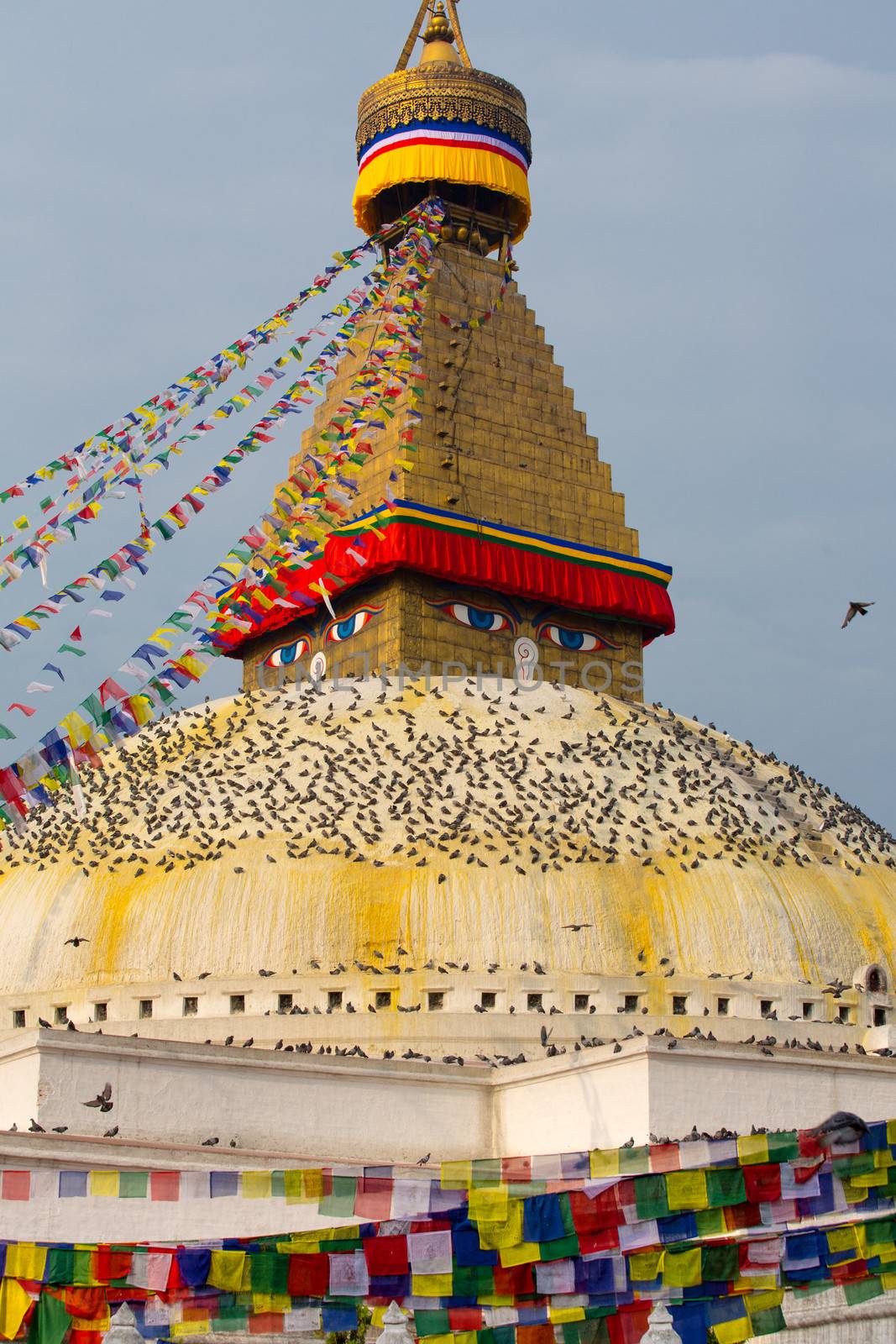 Boudhanath Stupa and birds by watchtheworld