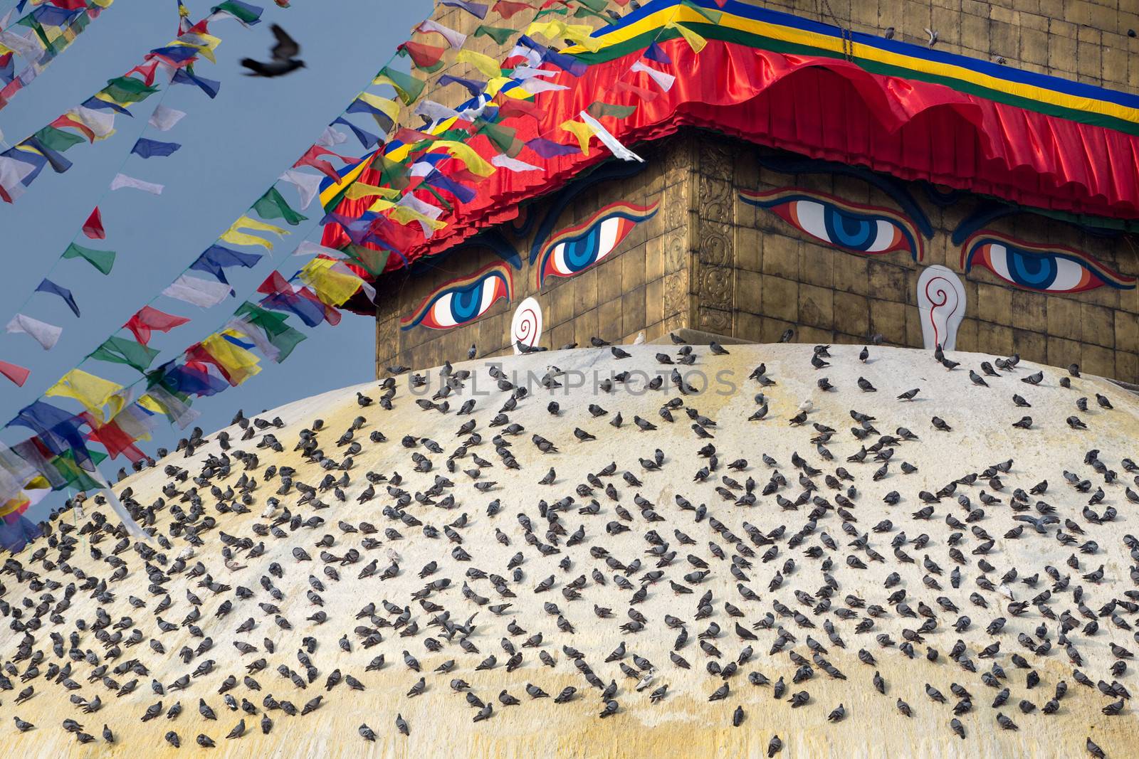 Boudhanath Stupa and birds by watchtheworld