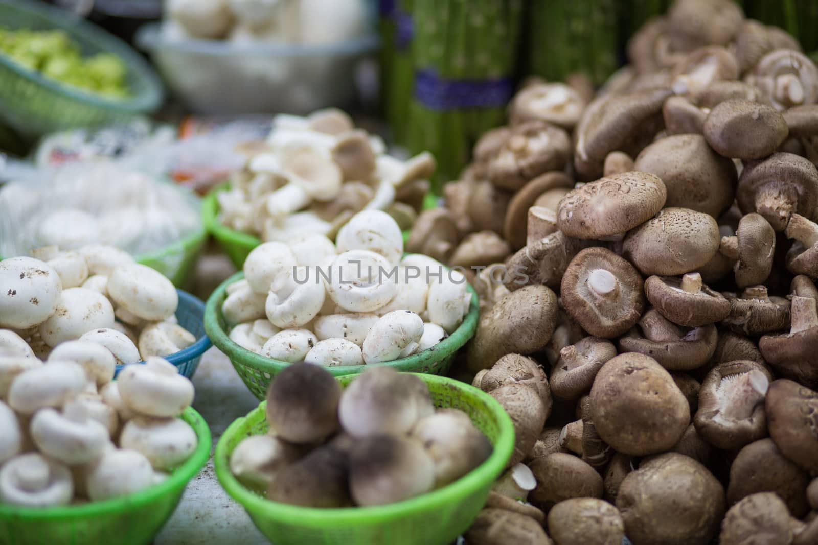Mushrooms in a fresh market by watchtheworld