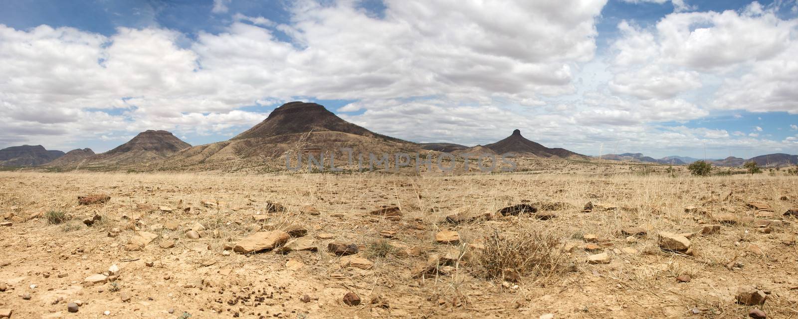 Kaokoland game reserve in Namibia, sand track going toward the Skeleton Coast Desert with a blue sky