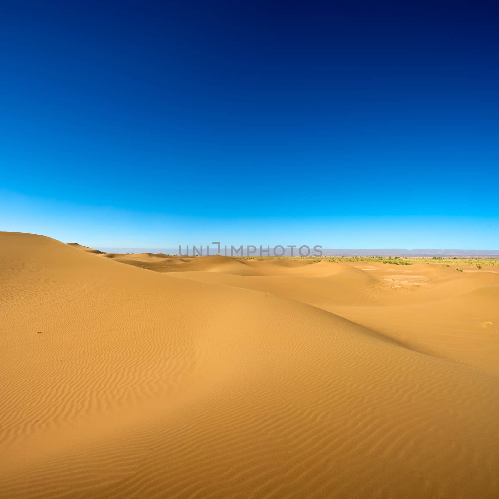 Sahara desert close to Merzouga in Morocco with blue sky and clouds.