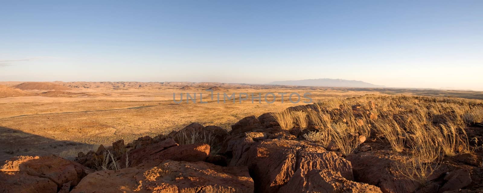 Wilderness in Namibia by watchtheworld