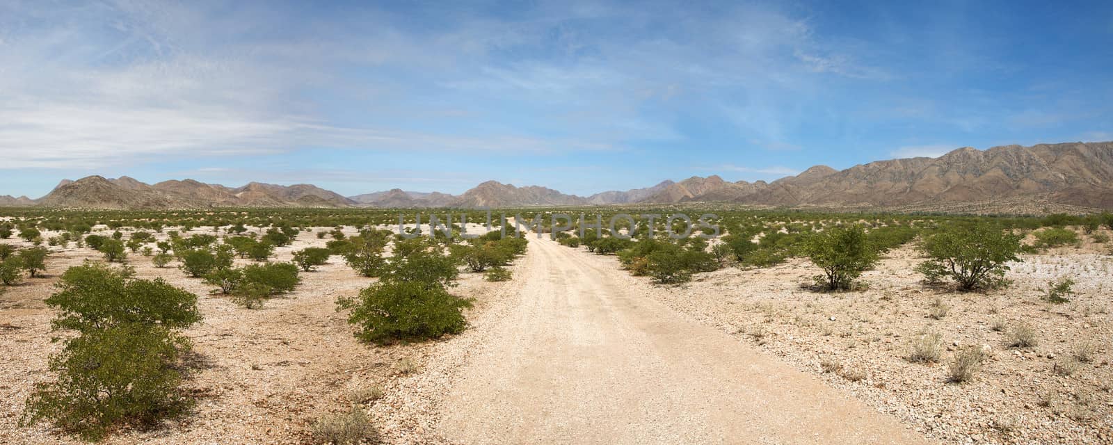 Surreal panorama of the Kaokoland desert in Namibia.