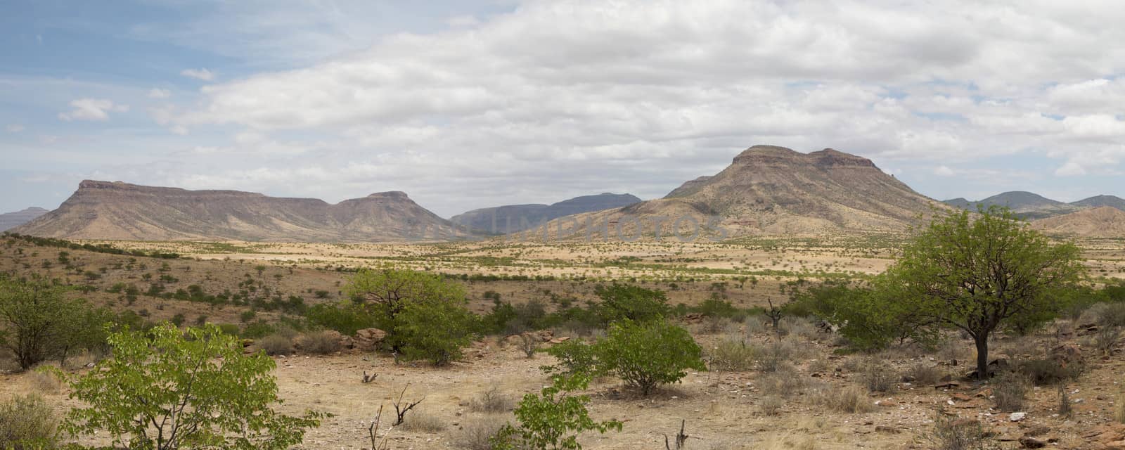 Wild landscape in the Kaokoland desert in Namibia.