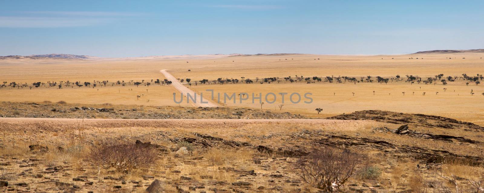 Namib Desert  by watchtheworld